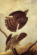 John James Audubon Stanley Hawk china oil painting artist